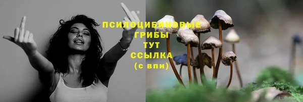 дживик Коряжма