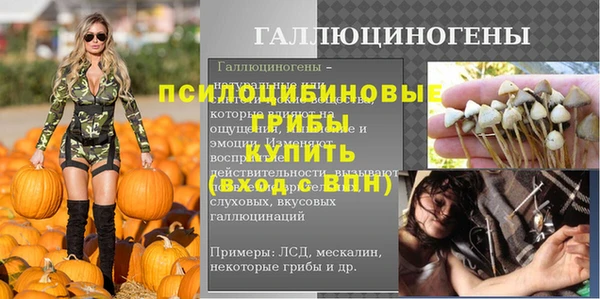 кокс Корсаков