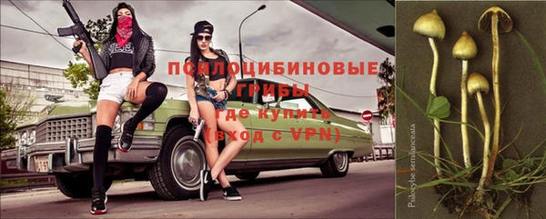 прущий лед Костерёво