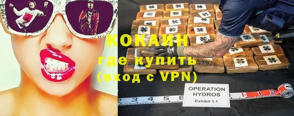 дживик Коряжма