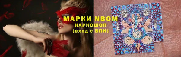 прущий лед Костерёво