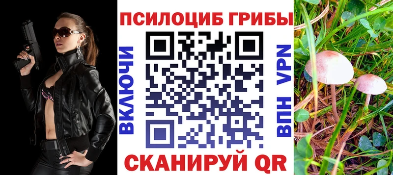 Купить  Заинск  Псилоцибиновые грибы Psilocybe 